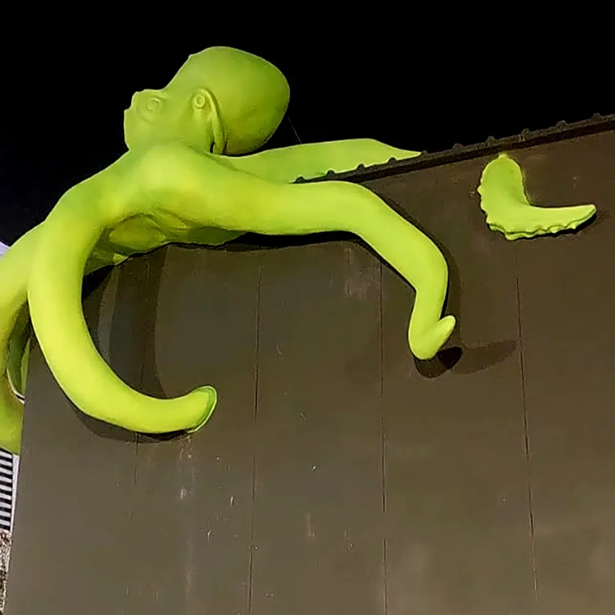 Giant Octopus